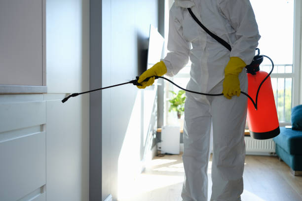 Trusted Parkston, SD Mold Removal Experts