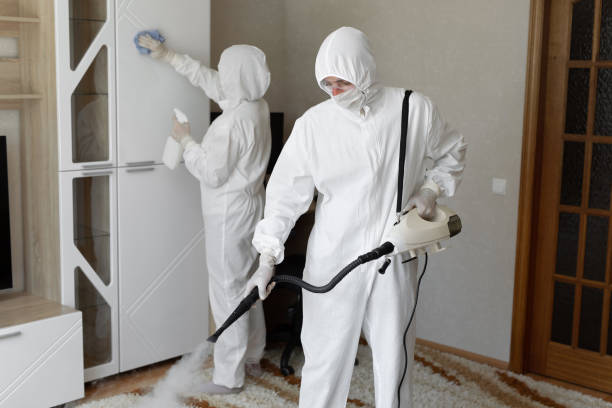 Certified Mold Removal in Parkston, SD