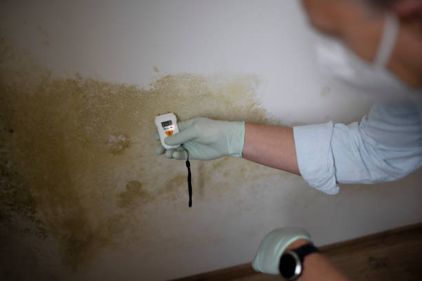 Best Emergency Mold Removal  in Parkston, SD