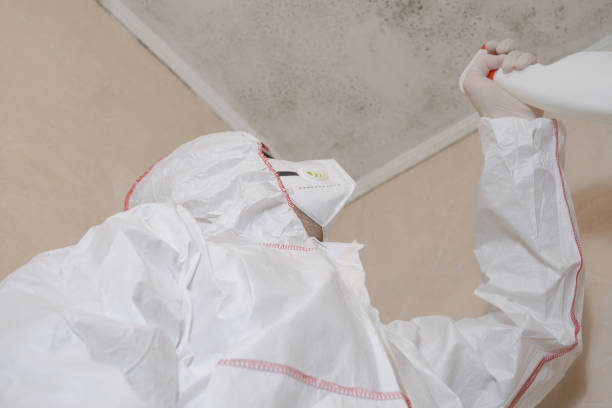 Best Toxic Mold Removal  in Parkston, SD
