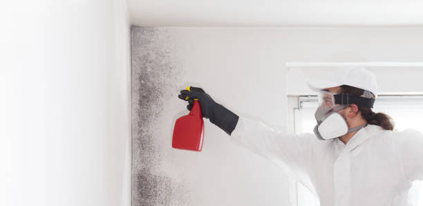 Best Mold Removal Process  in Parkston, SD