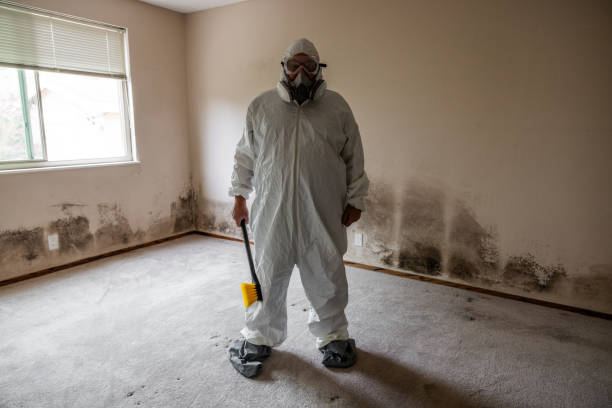 Best Mold Removal Company Near Me  in Parkston, SD